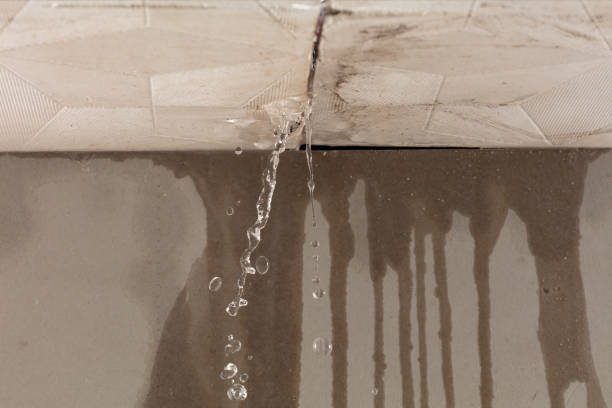 Professional Burst Pipe Cleanup technician working in Butler, MO